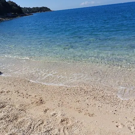 Near Wih 12 Meters Long Pool *